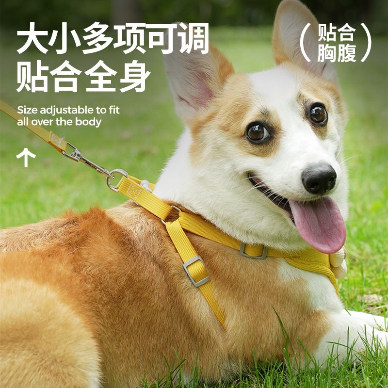 狗狗牵引绳小型幼犬背心式防挣脱可调节比熊博美胸背带外出遛狗绳