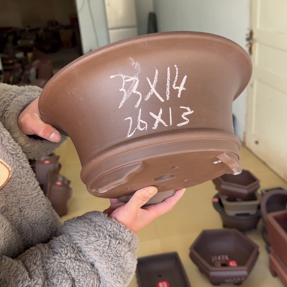 紫砂花盆呜呜呜呜