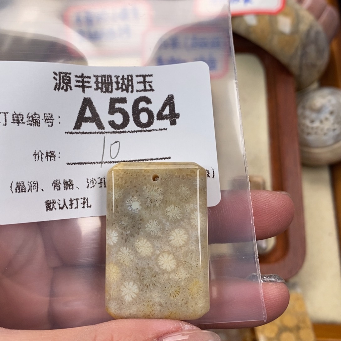 硅化玉颈饰未镶嵌明*