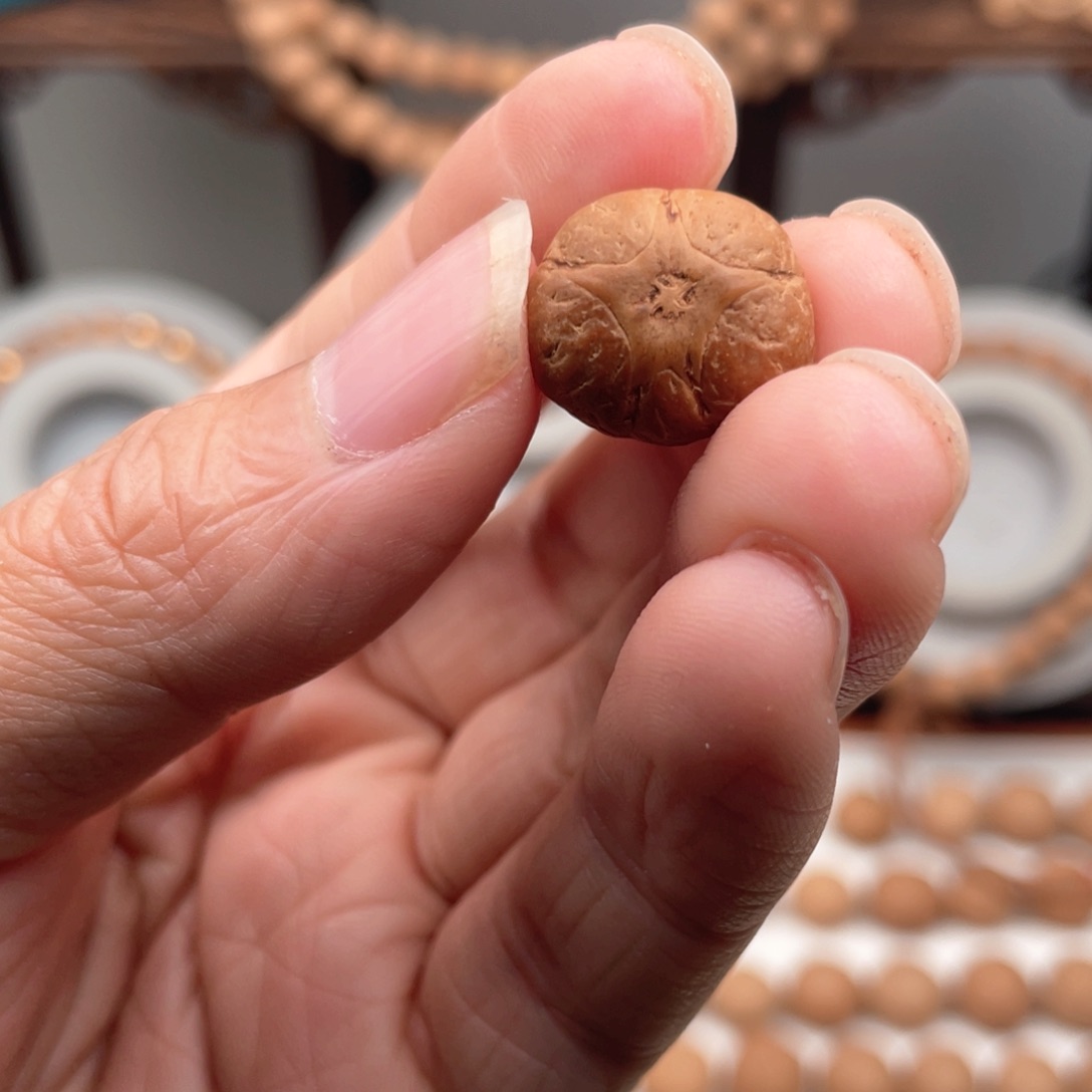 麒麟眼菩提手串小**?五星