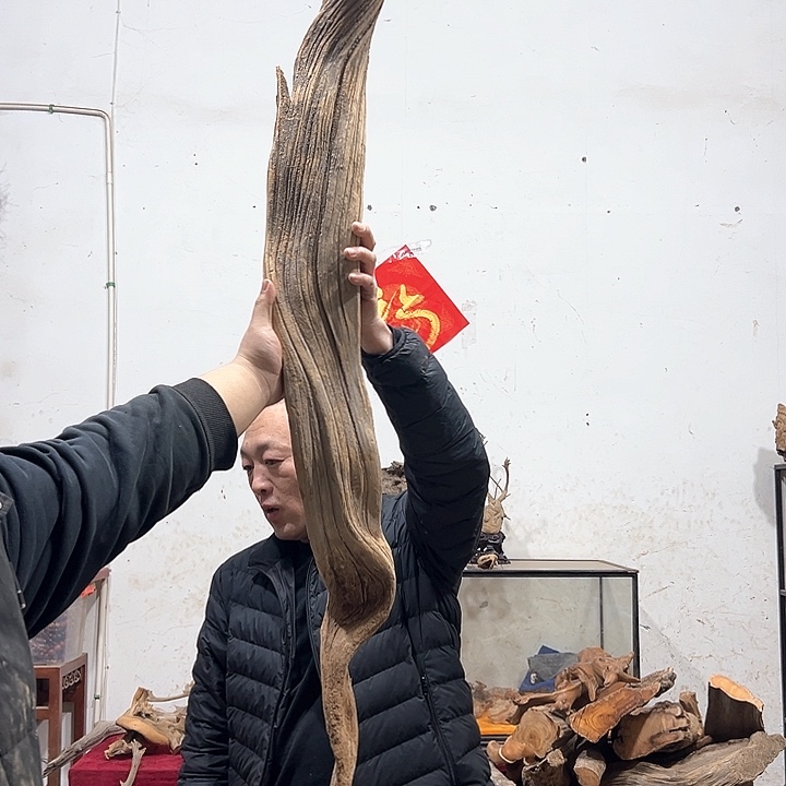 柏木不**问我们的生活也是如此的