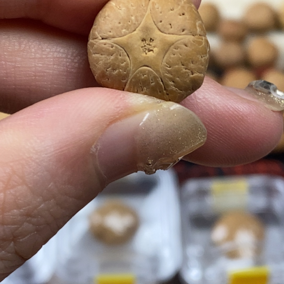 凤眼菩提吊坠五星上将17