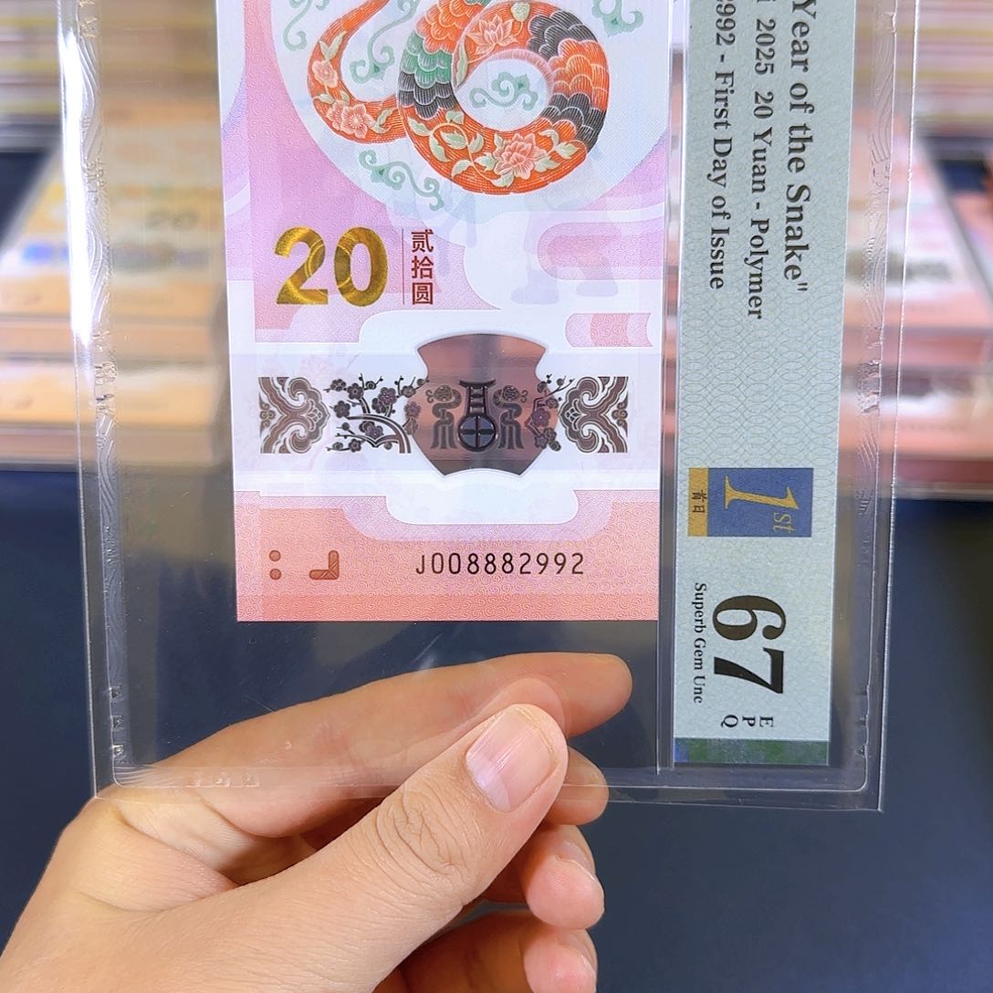 塑料蛇钞008882992单张