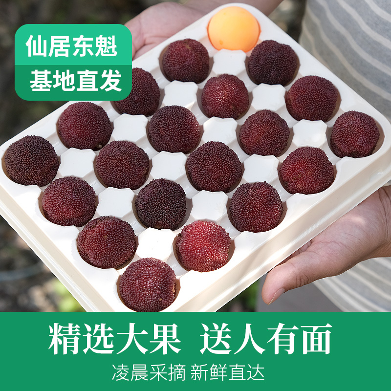 正宗仙居东魁杨梅特大果现摘新鲜水果冷链空运礼盒装