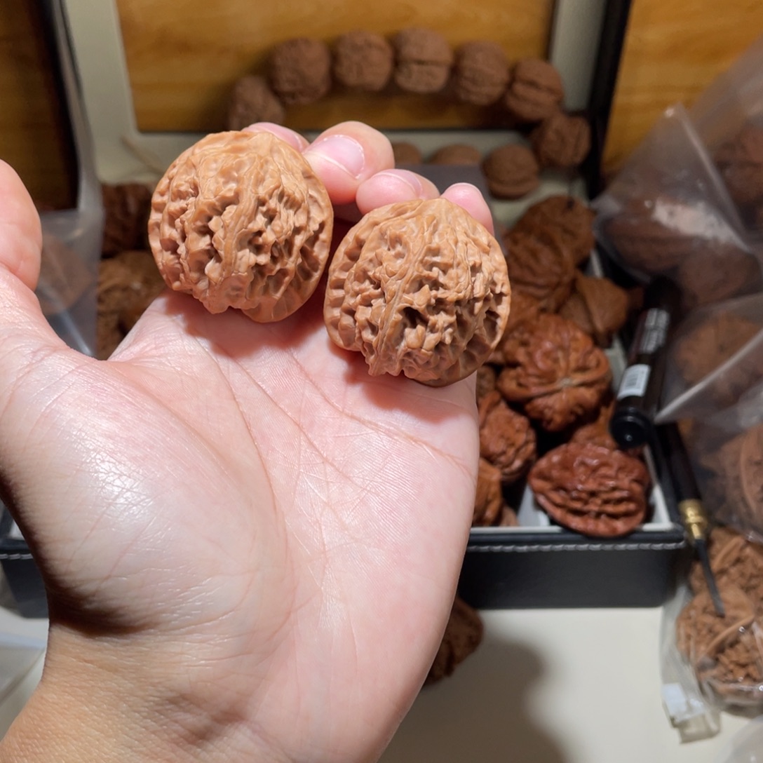 40尺寸全品无修苹果园