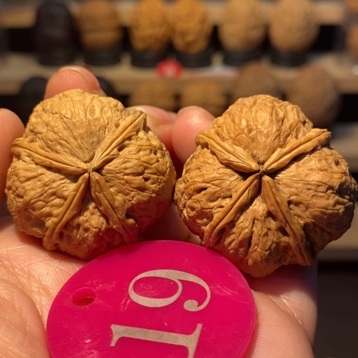 木质类X 战警34尺寸