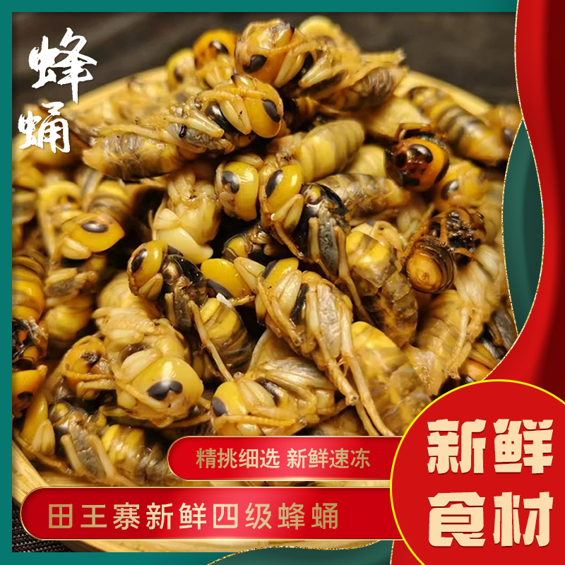 【紫云】地蜂蛹熟冻四级可油炸新鲜高蛋白金环虎头蜂蜂蛹
