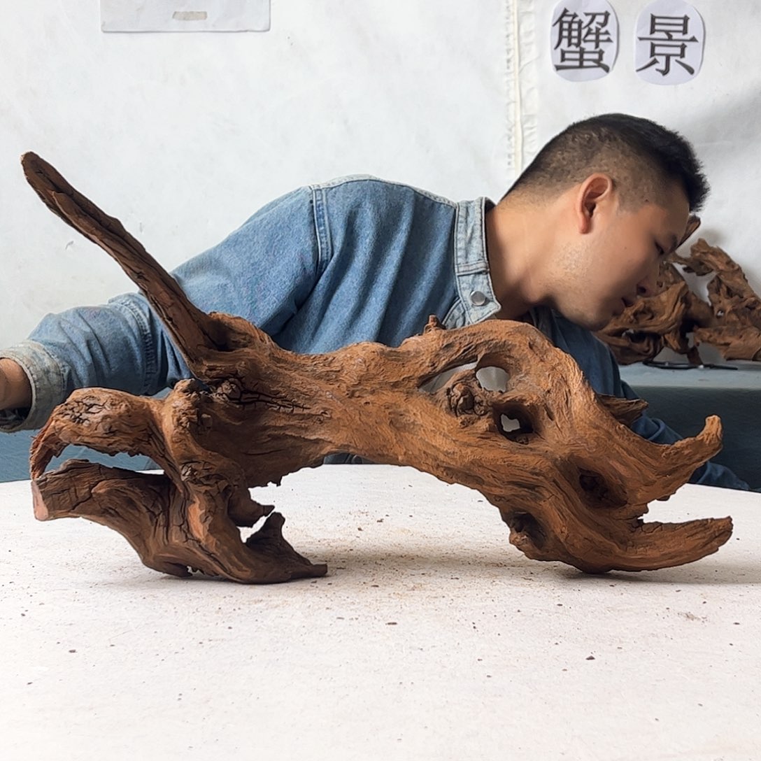 P****家沉木造景爬宠造景