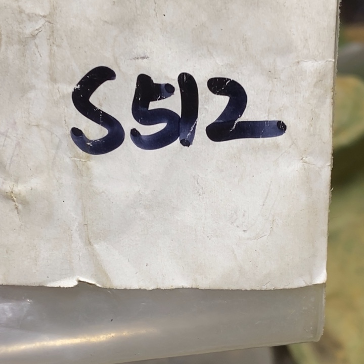 d***人一四九直播间家居饰品专属链接