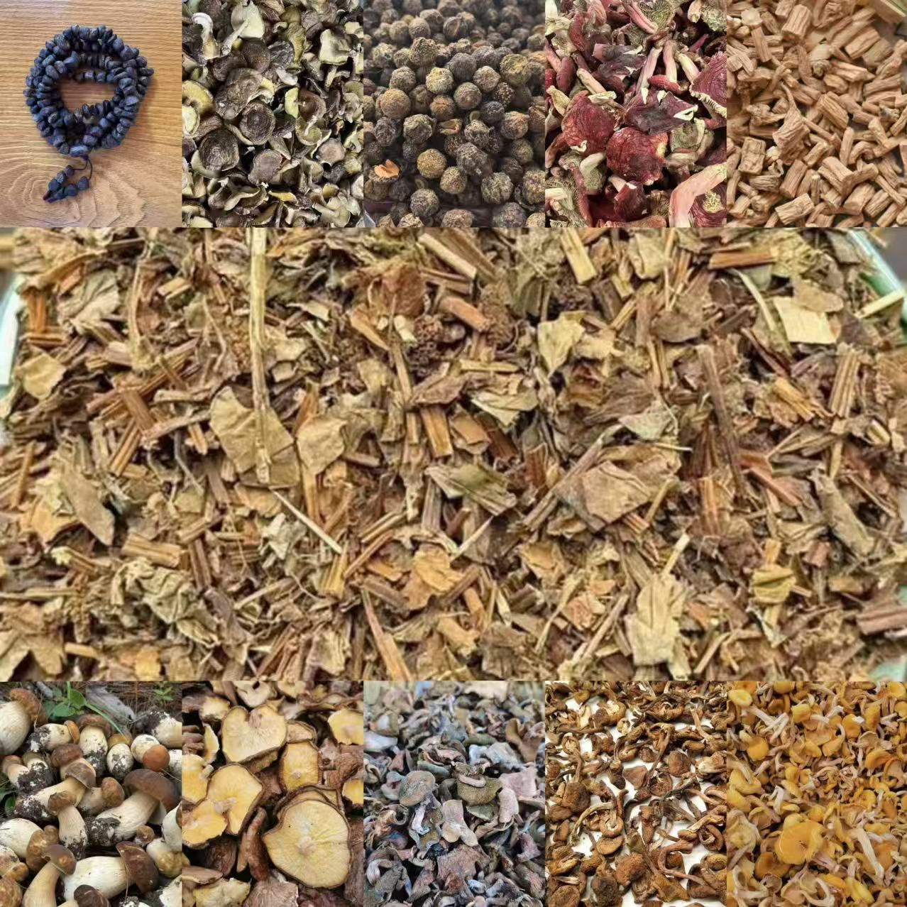 AXG371土特产菌/多样性发货