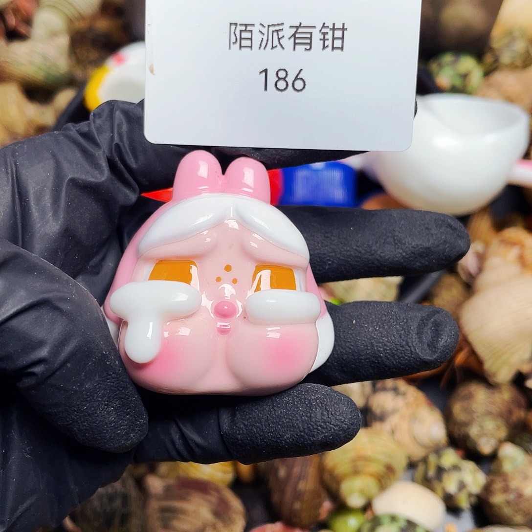 旺****陌派有钳寄居蟹186