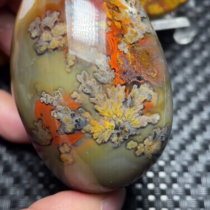 老***孟玛瑙/玉髓未镶嵌玛瑙