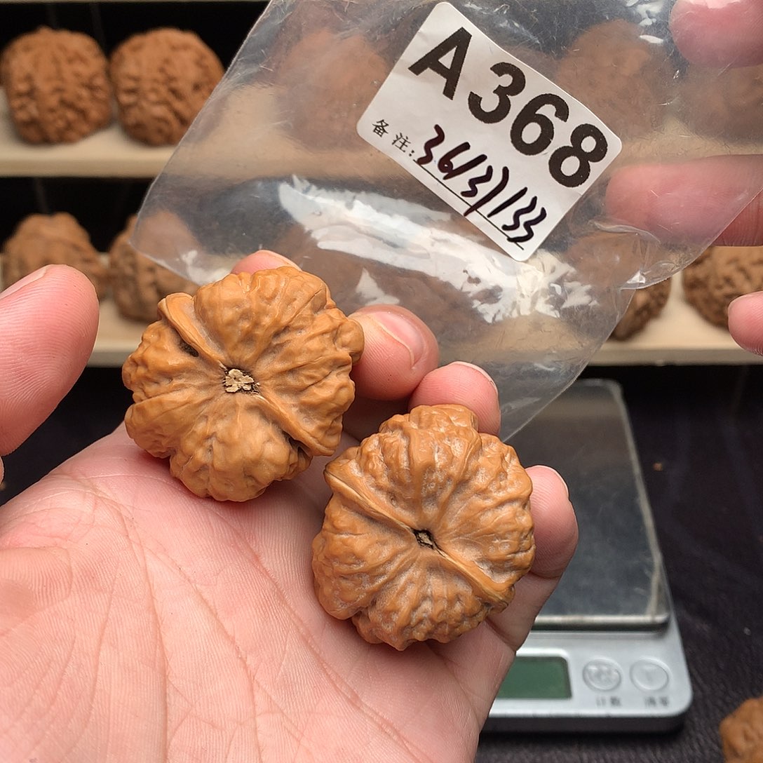 ****八核桃A368蛤蟆头36尺