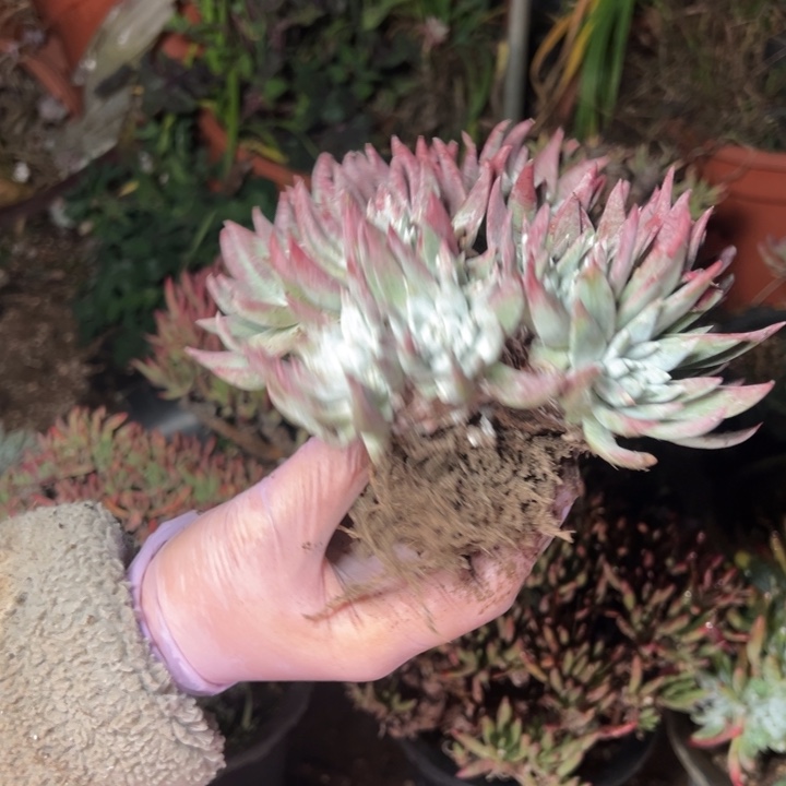 348哈哈哈哈哈哈哈