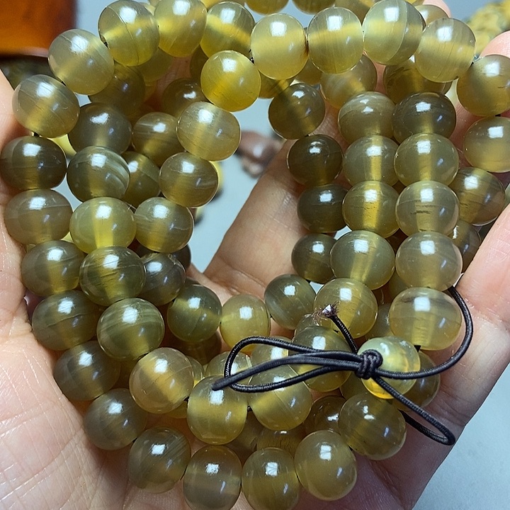 大果紫檀（缅甸花梨）