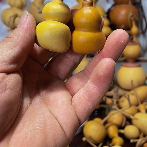 精品厚皮小八宝葫芦
