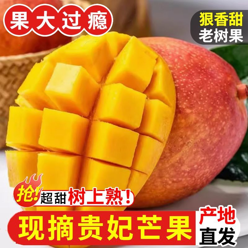 【放软食用】贵妃芒果应季新鲜现摘水果香甜多汁核薄肉厚E