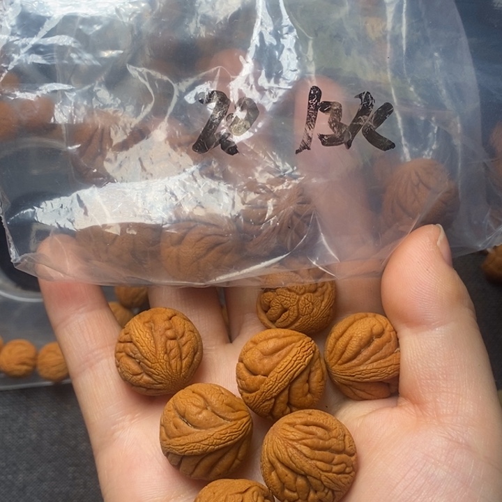 桃核吊坠秦岭山野生桃核