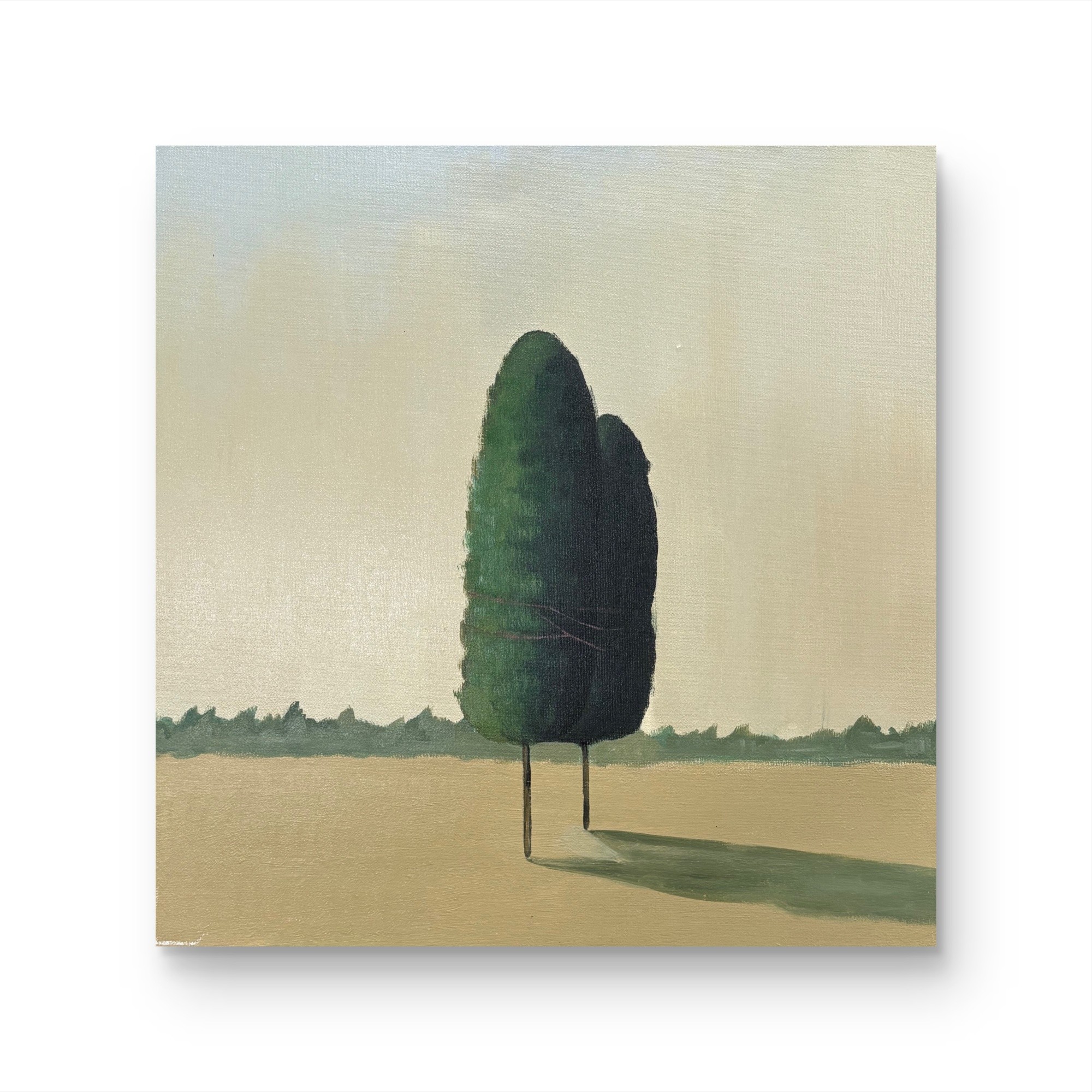 【 双生 】孤品 “50*50” No.230 纯手绘挂画