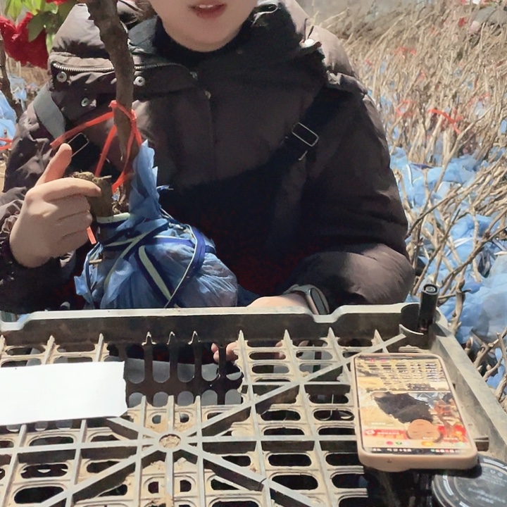 完全开放补补补补