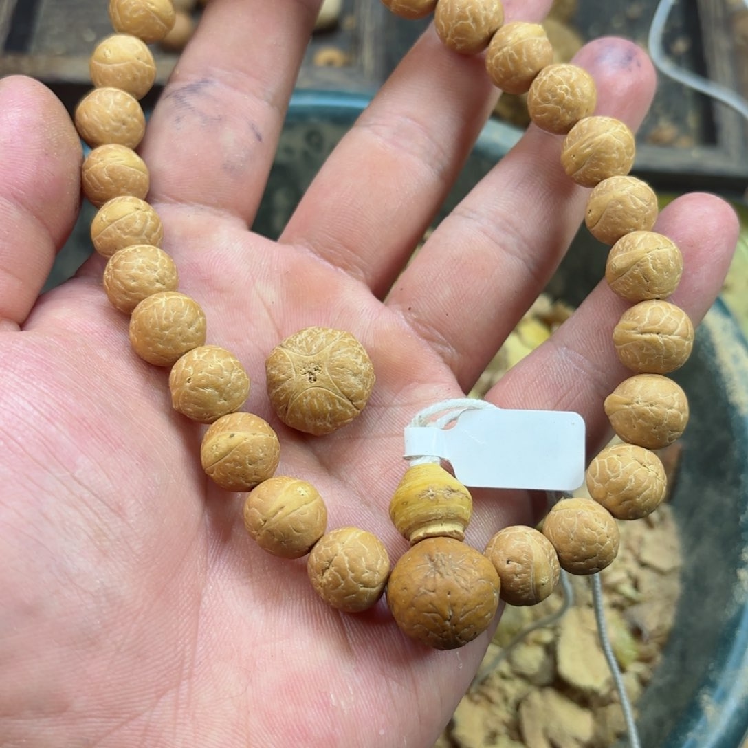 凤眼菩提吊坠12.5福利