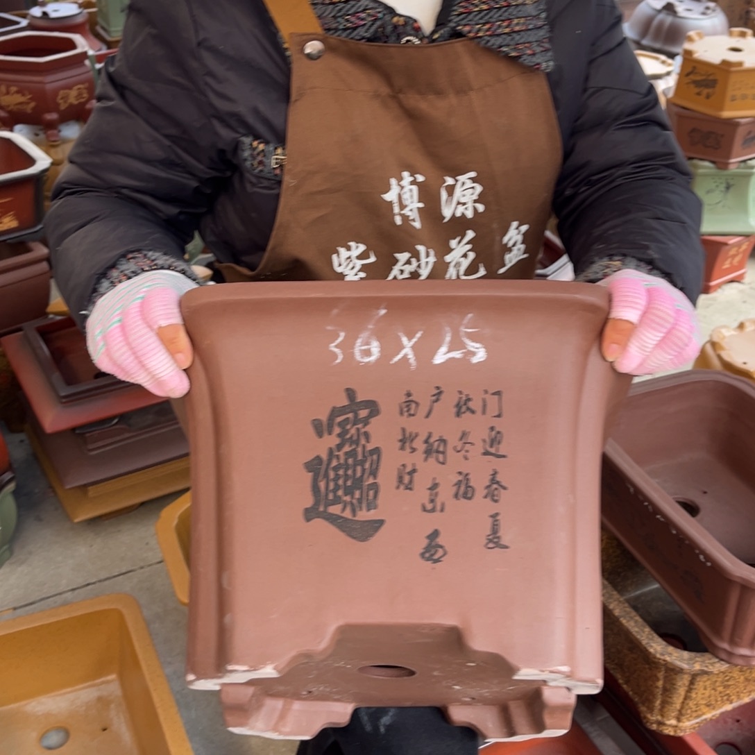 花盆紫砂盆景艺术