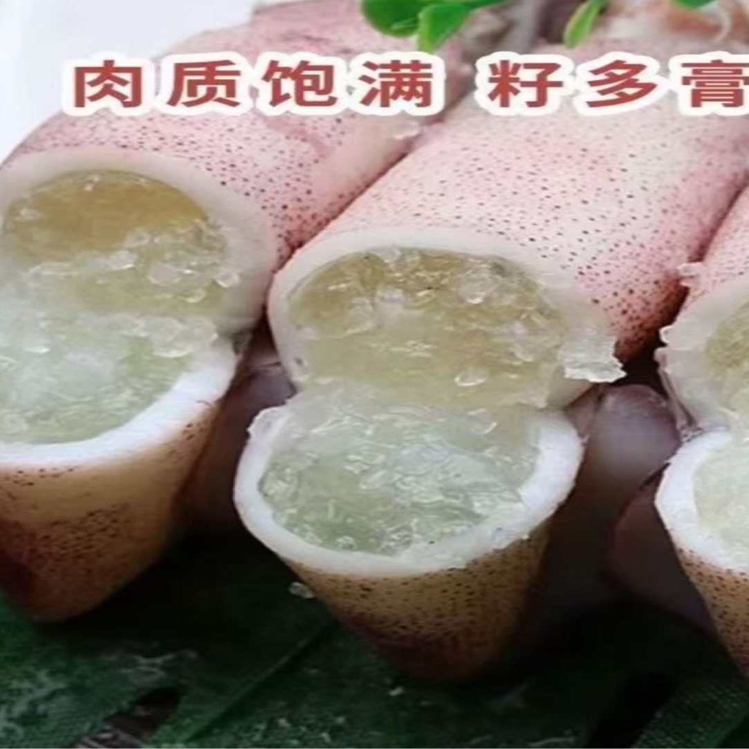 满籽海兔新鲜笔管鱼籽乌墨鱼仔顺丰包邮一包10只3包30只