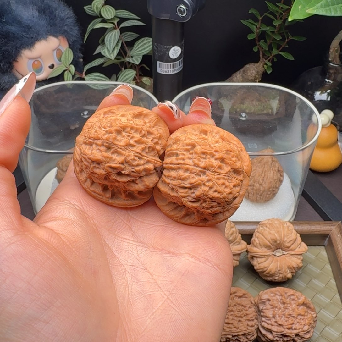 l***m核桃全品头货精对血麒麟40