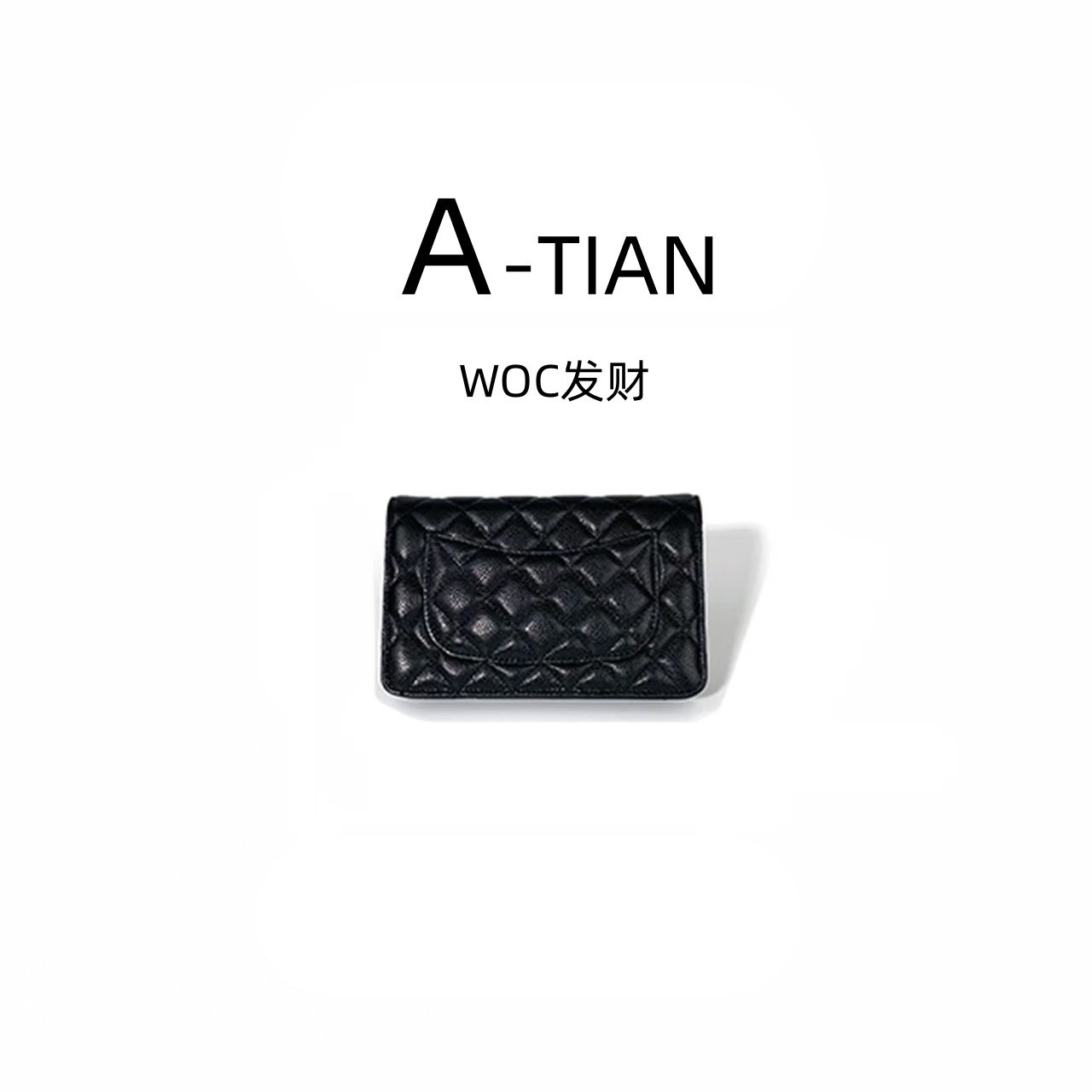 a田精选【woc发财】休闲包 女生轻奢手提包1-1