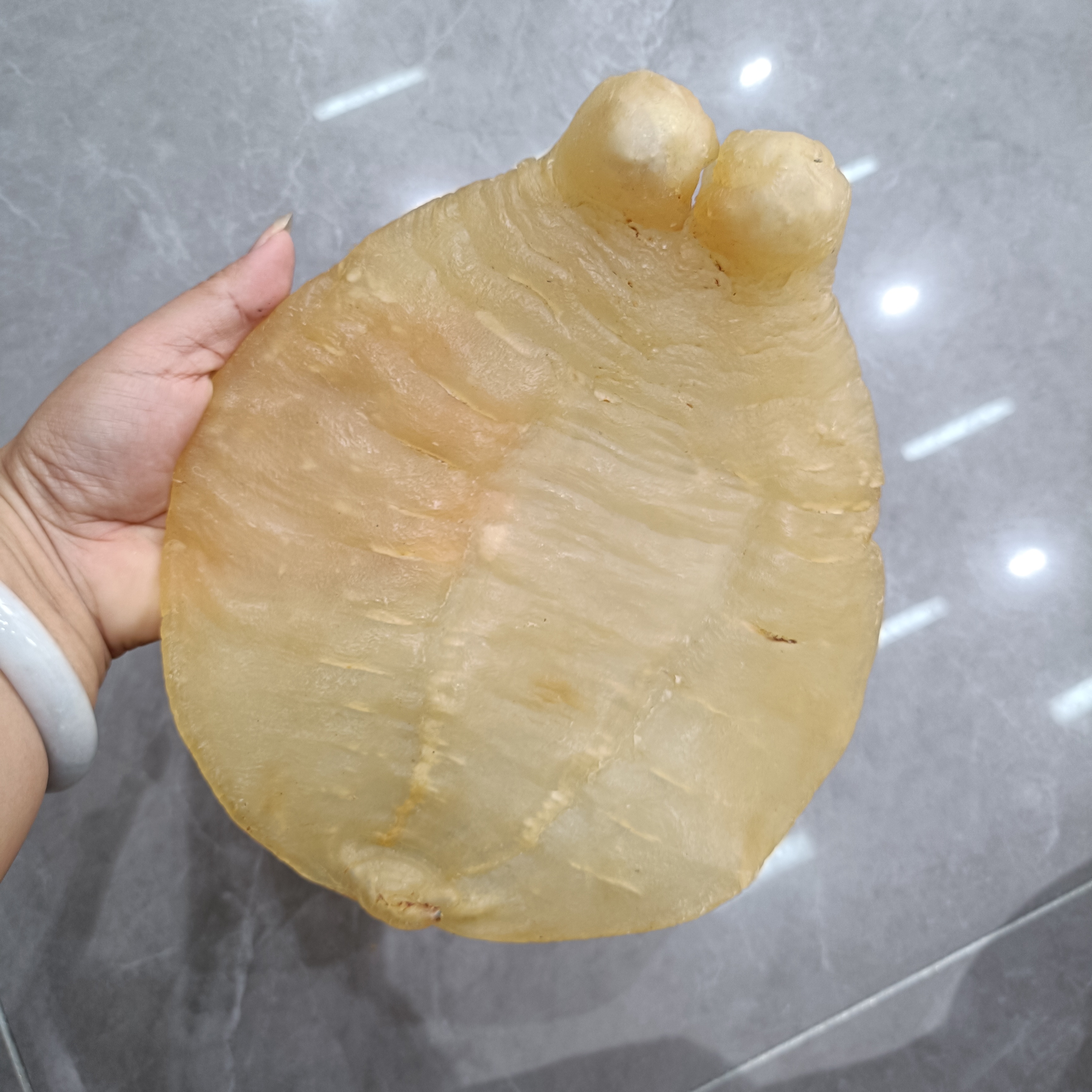 母肚328克1头高品质花胶直播间称重