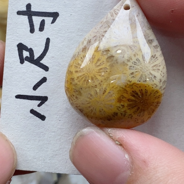 颈饰未镶嵌硅化珊瑚（珊瑚玉）