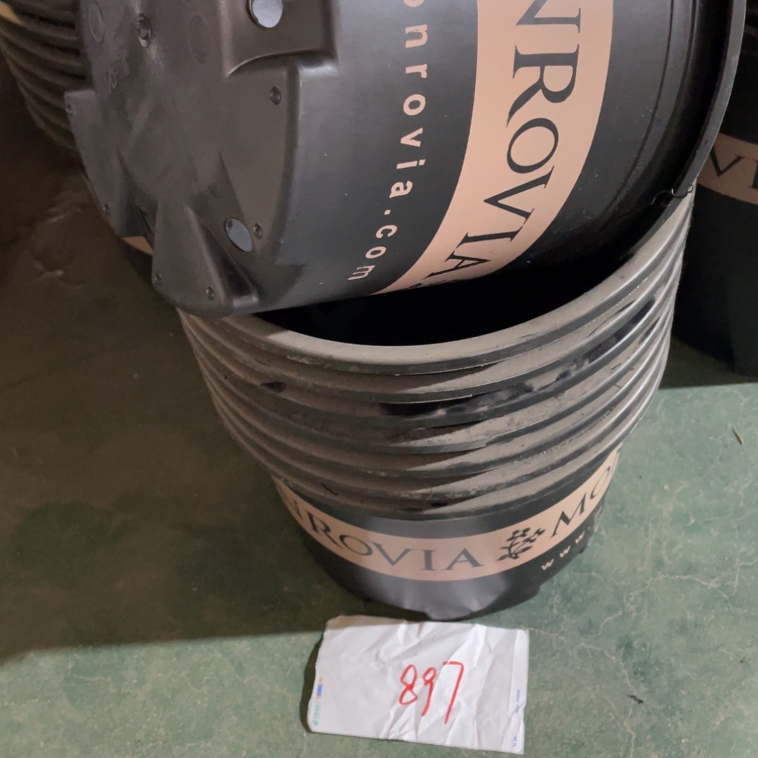 编号是897号的897号的