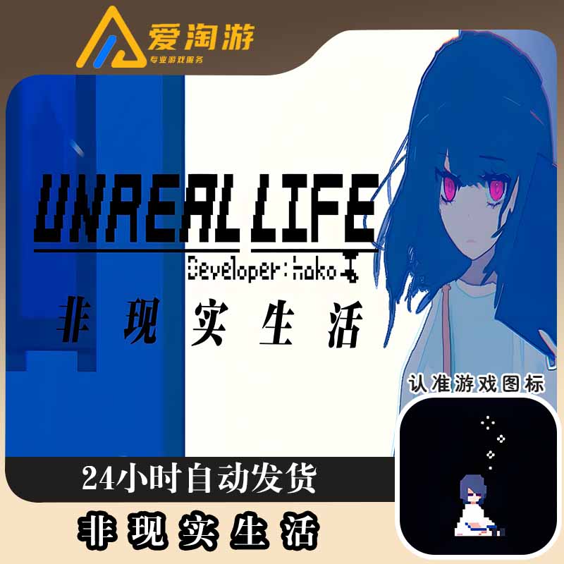 非现实生活 UNREAL LIFE 游戏安装服务