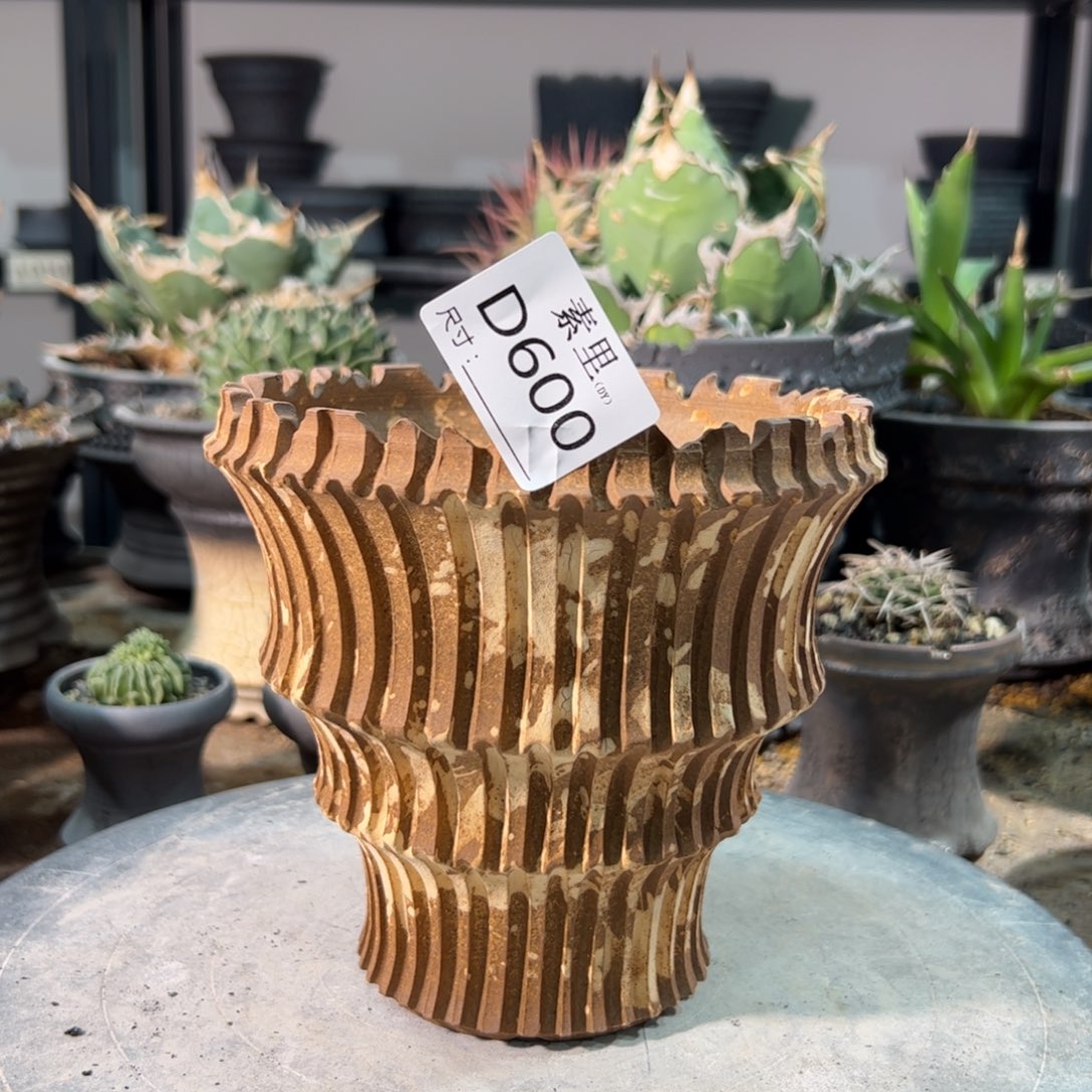 景德镇素里手工内口13.5高14