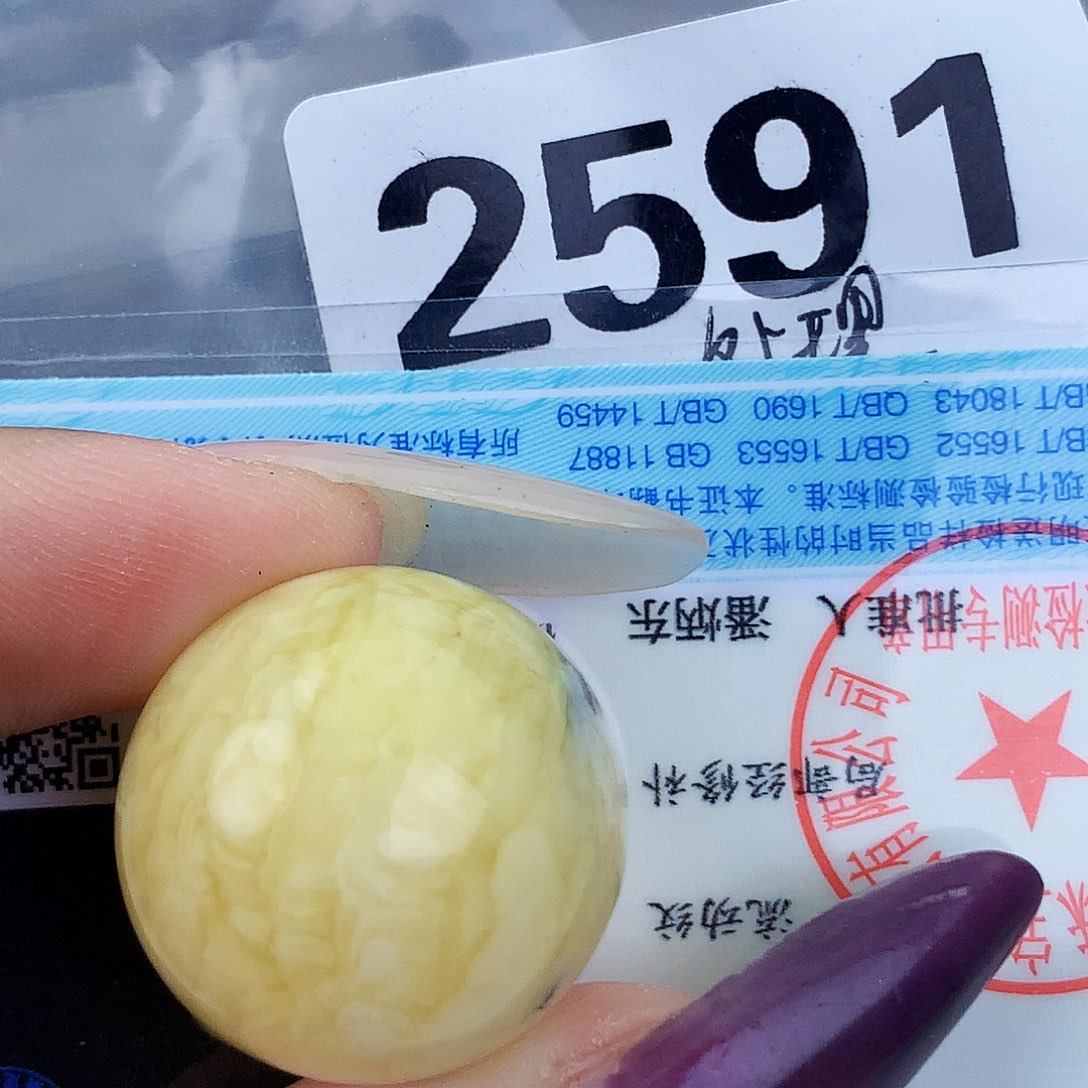 琥珀未镶嵌珠宝奇石22.3植物