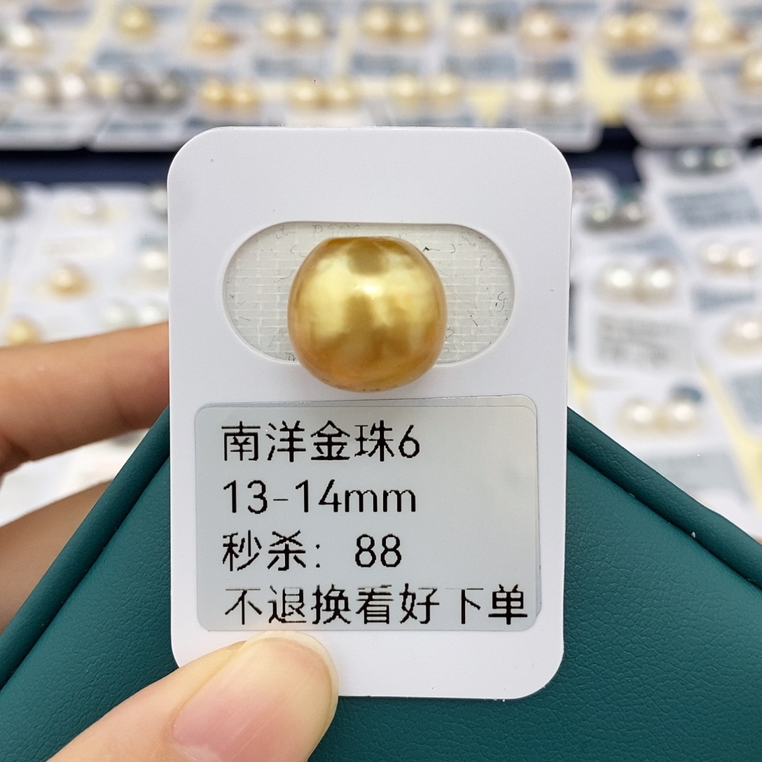 海水珍珠耳饰未镶嵌13-14mm金珠（无鉴赏）