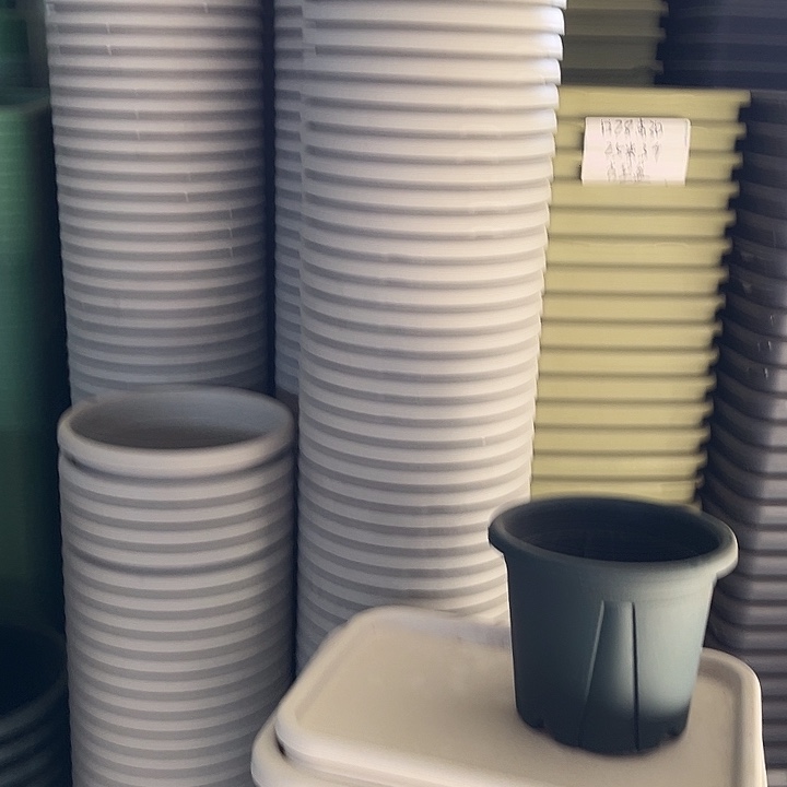 瑕疵四季盆4号灰白色发6口径25高度22