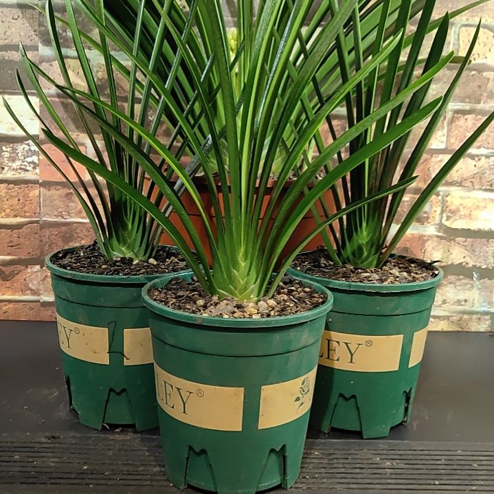 完全开放111111111