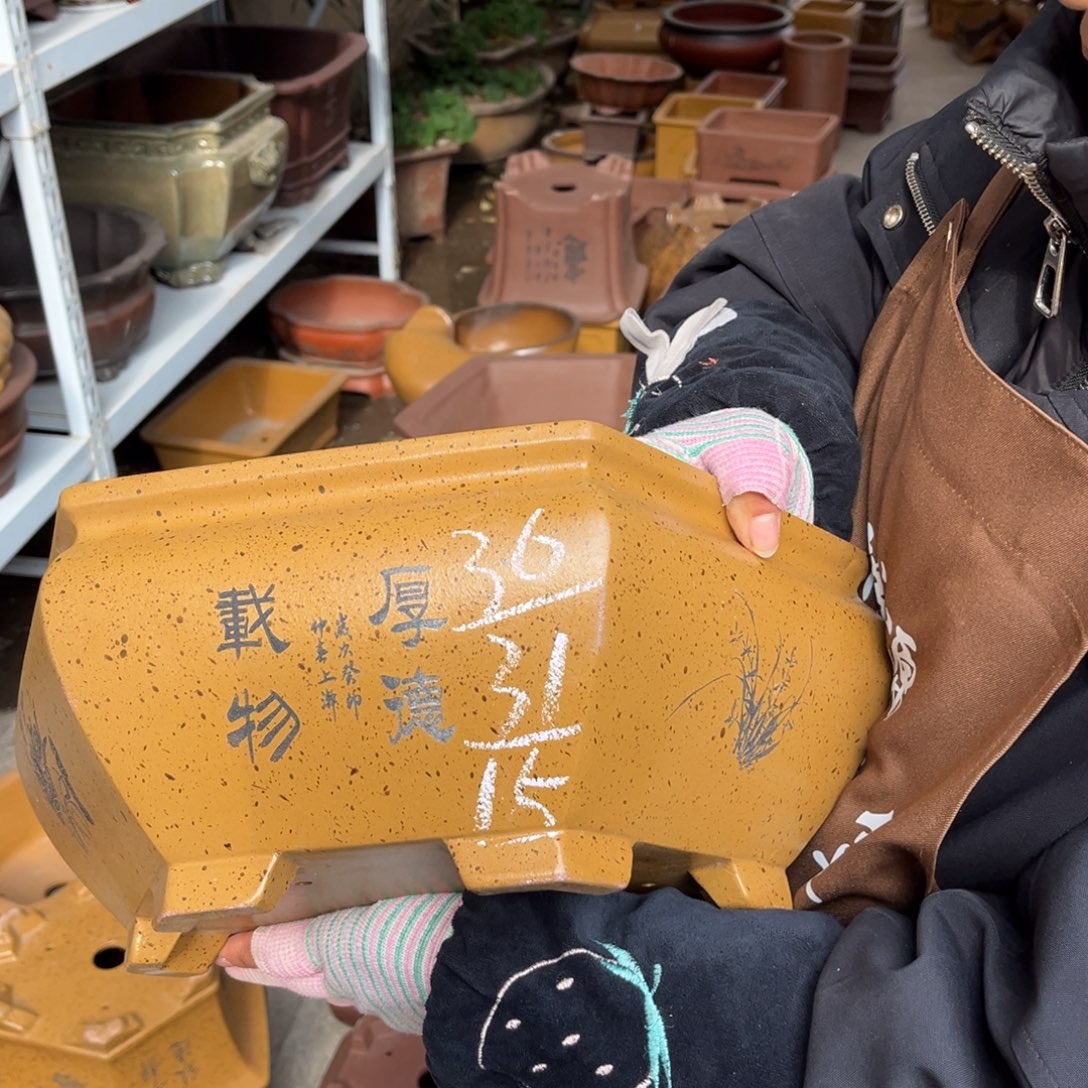 花盆紫砂盆景艺术
