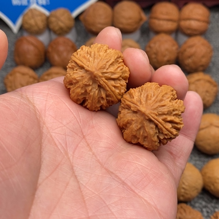 文玩核桃把件蚂蚁八棱