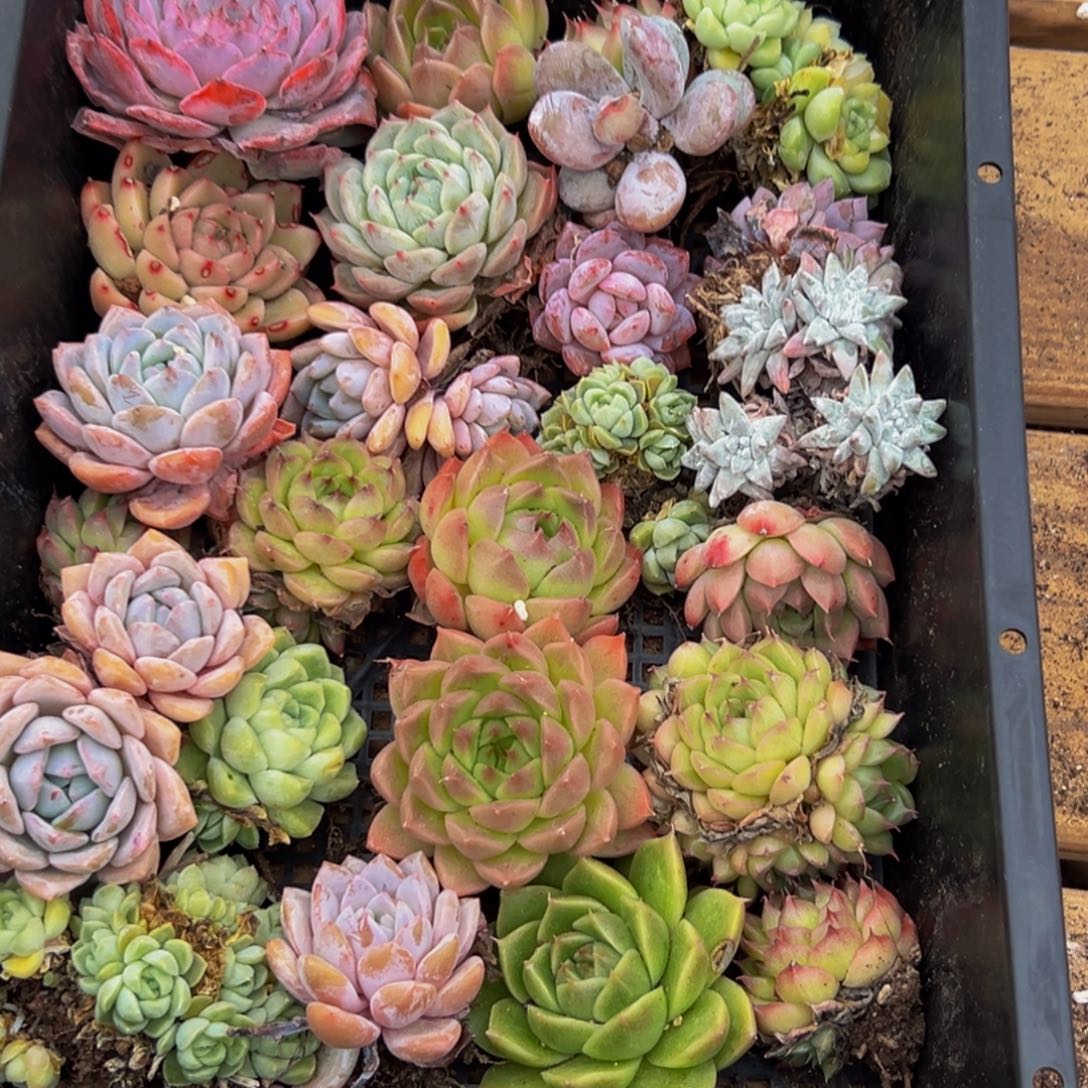 416许昌g哈哈斤斤计较