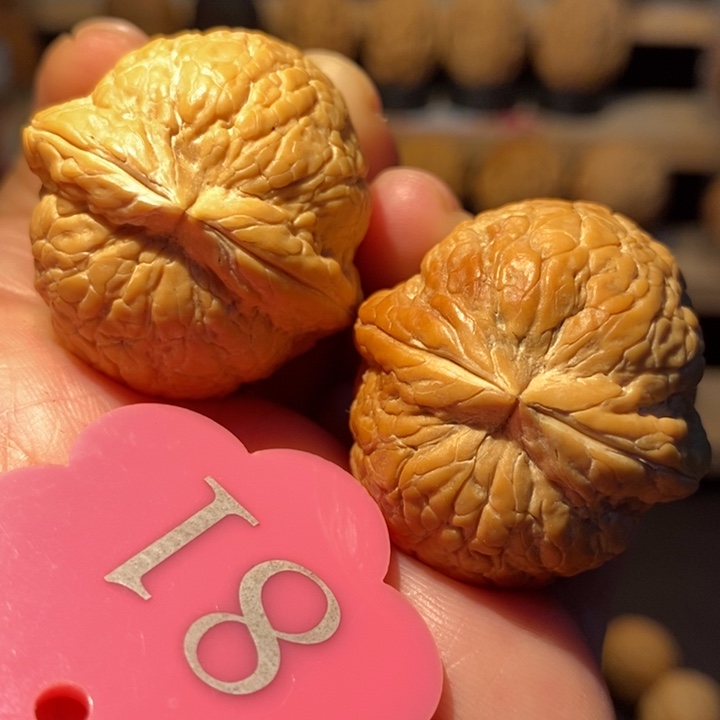 木质类粗筋大西瓜35尺寸