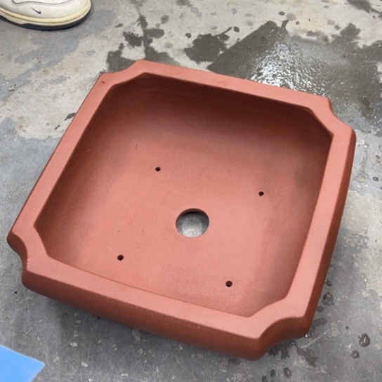 I***3紫砂花盆中香气浓醇