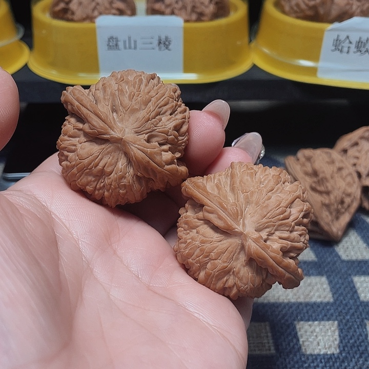 文玩核桃把件D*L白狮子44