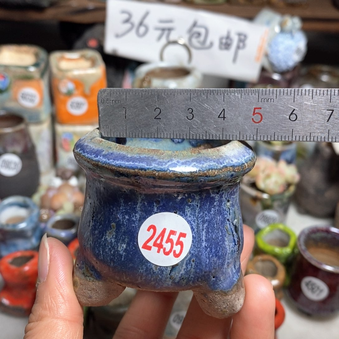 花盆拍3送个9·9的盆，拍5送同款