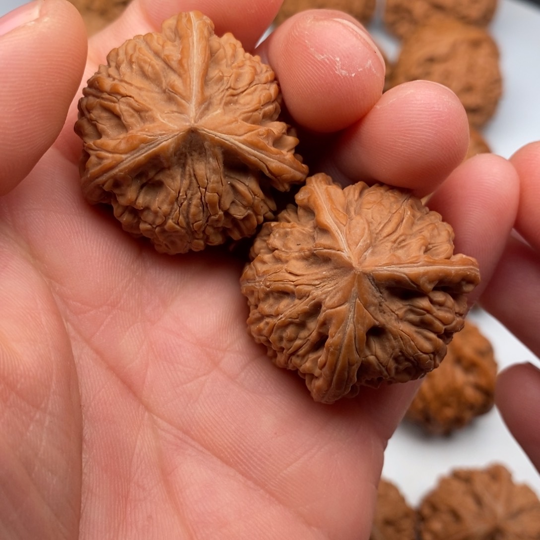 文玩核桃把件34+三棱