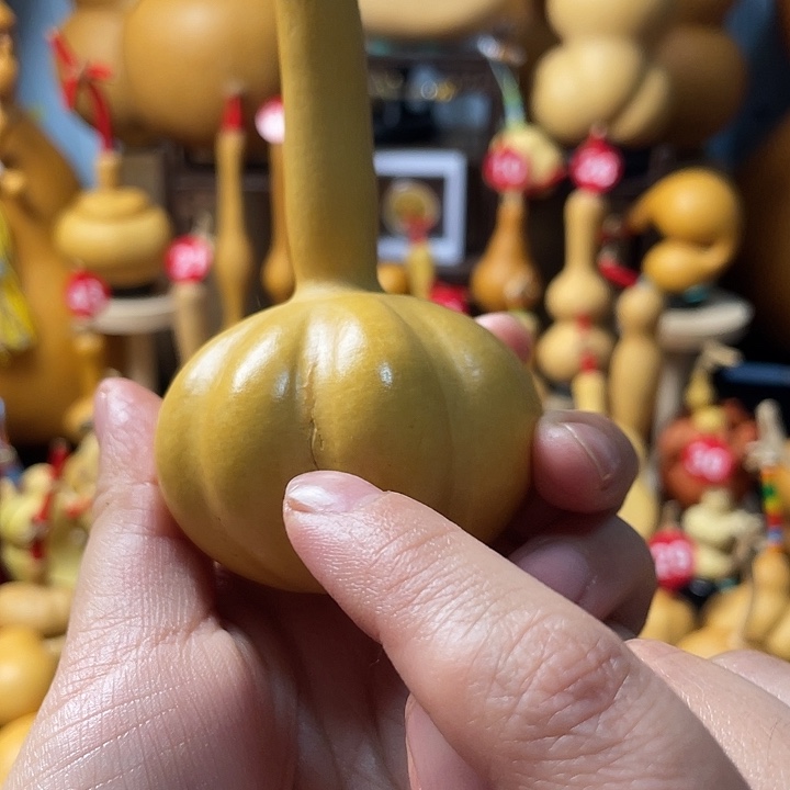 飞****葫芦岛市你就知道这就是这个