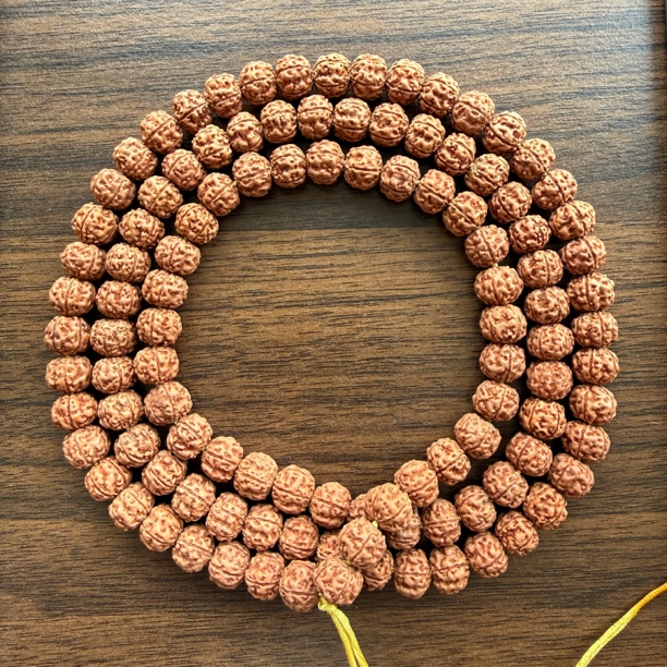 原生态金刚菩提 灵耀双龙108非全品