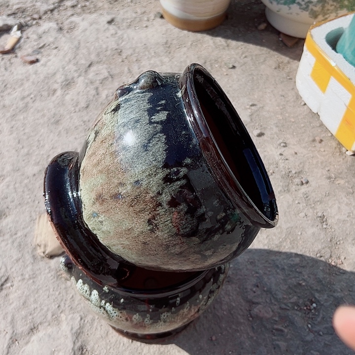 花盆花盆花盆花朵