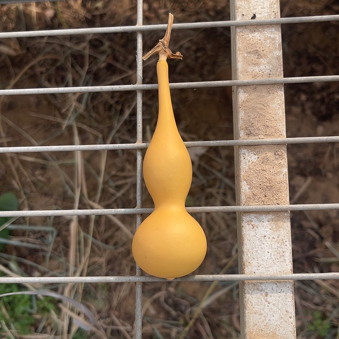 岩***…8888888888888855